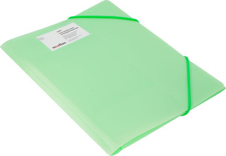 Папка на резинке Бюрократ Gems А4 цвет светло-зеленый