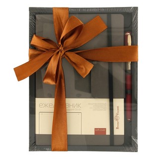 Набор подарочный 'Zenith' ежедневник недатированный и ручка, серый