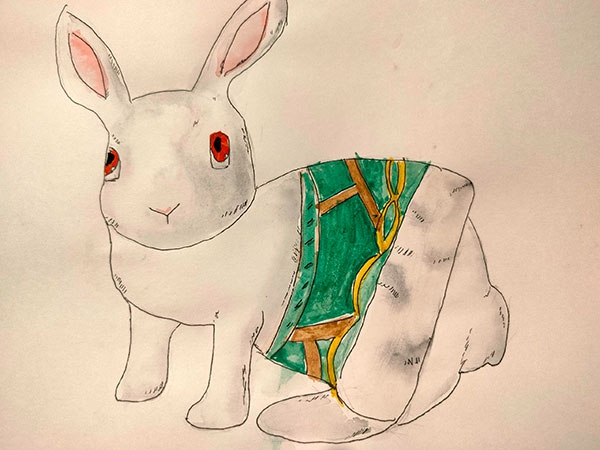 Конкурс нарисуй кролика в стиле аниме, Царегородцева