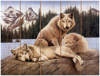 Картина по номерам на дереве Molly Стая островных волков 20 цветов, 30х40 см 1