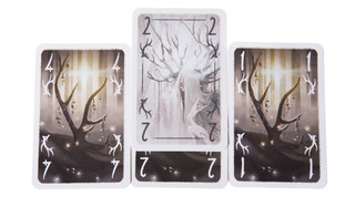 Настольная игра 'Сиггил'  5