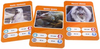 Настольная игра 'Это факт! Зоопарк' 4