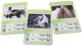 Настольная игра 'Это факт! Зоопарк' 5