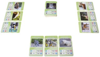 Настольная игра 'Это факт! Зоопарк' 6