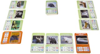 Настольная игра 'Это факт! Зоопарк' 7