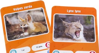 Настольная игра 'Это факт! Зоопарк' 8