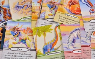 Настольная игра 'Эволюция. Биология для начинающих', Правильные игры 10