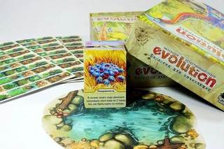 Настольная игра 'Эволюция. Биология для начинающих', Правильные игры 7