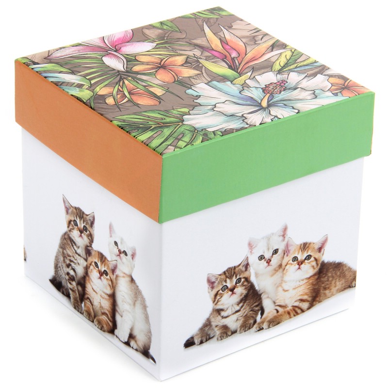 Коробка квадратная 'Котэ' 12х12х12 см