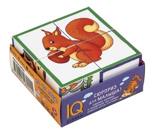 Умные кубики в поддончике. Кто что любит, 4 кубика