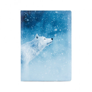 Обложка на автодокументы 