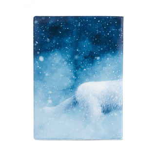 Обложка на автодокументы 