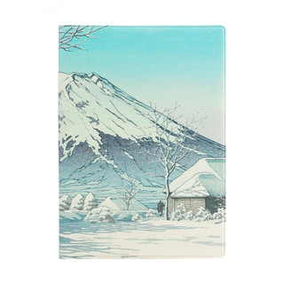 Обложка для паспорта "Гора Футзи", артикул KW064-000562