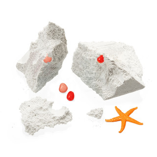 Набор для раскопок 'Морские животные', Bumbaram 4