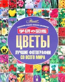 Цветы. Лучшие фотографии со всего мира