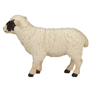 Фигурка KONIK «Шотландская черноголовая овца» 3