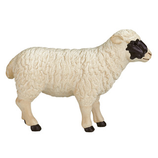 Фигурка KONIK «Шотландская черноголовая овца» 5