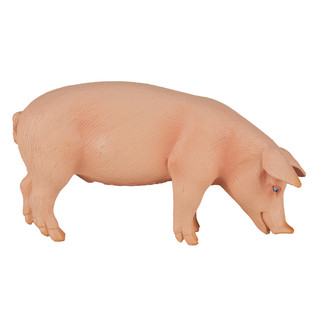 Фигурка KONIK «Свинья, самец» 2