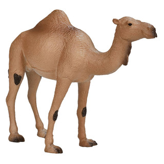 Фигурка KONIK «Одногорбый верблюд» 3
