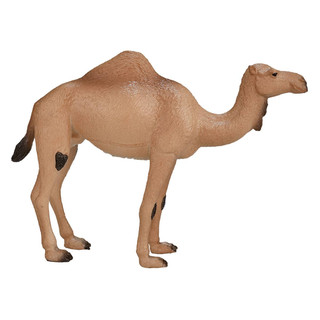 Фигурка KONIK «Одногорбый верблюд» 5