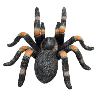 Фигурка Красноколенный тарантул, KONIK 2