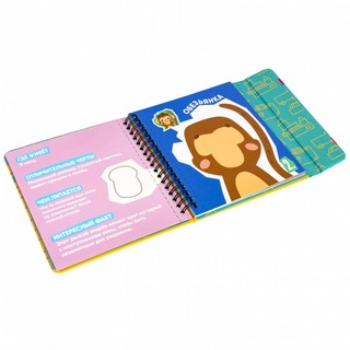 Игра 'Аппликации наклейками развивающие' 5