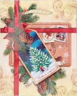 Пакет "С Новым Годом!" 12х15 см