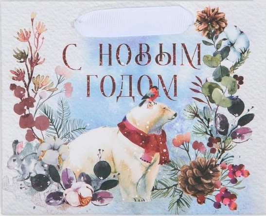 Пакет 'Мишка' 15х12 см