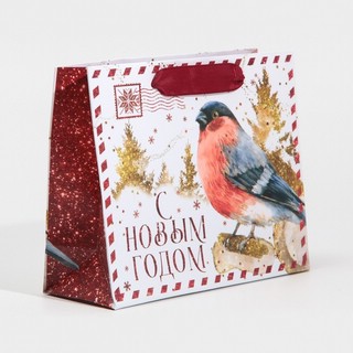 Пакет 'Новогодняя бандероль' 15х12 см 3