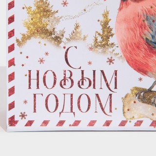 Пакет 'Новогодняя бандероль' 15х12 см 4