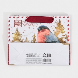 Пакет 'Новогодняя бандероль' 15х12 см 6