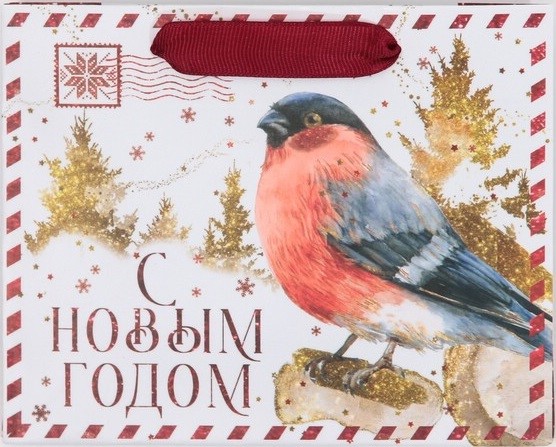 Пакет 'Новогодняя бандероль' 15х12 см