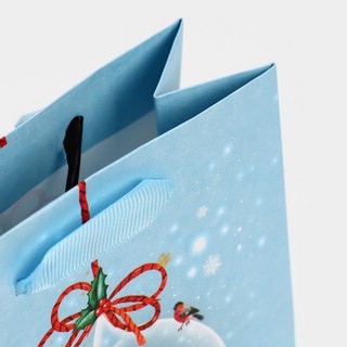 Пакет 'Нежность' 12х15 см 5