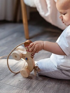 Каталка детская 'Конь', дерево 4