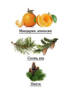 Душистая вода 