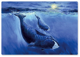 Деревянные пазлы 'WWF Гренландский кит', 21х30 см, 150 деталей, Davici 4