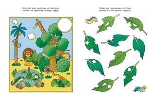 Развиваем внимание, 5-6 лет 2