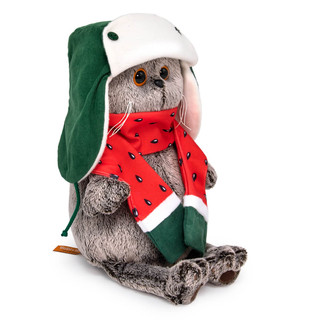 Басик в двусторонней шапке и шарфе, 22 см 2