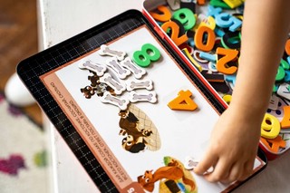 Обучающий набор 'Цифры и счет' 7