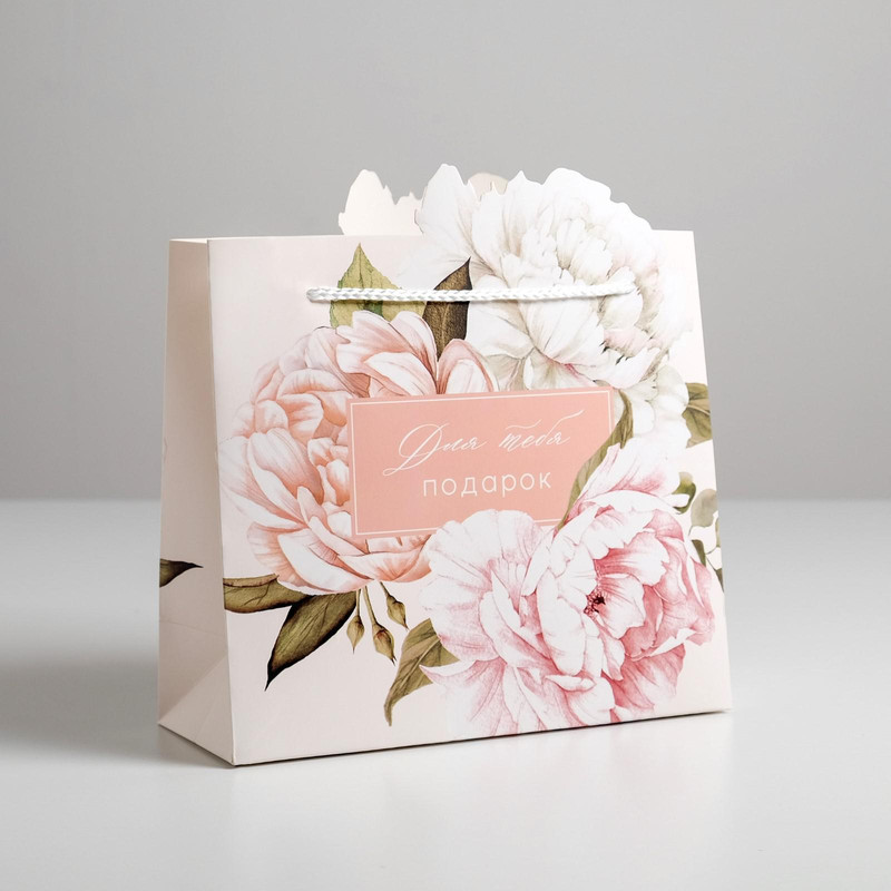 Пакет подарочный «Для тебя подарок», 25 x 26 x 10 см