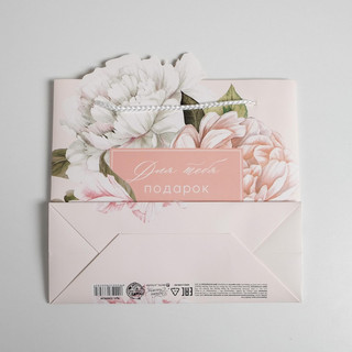 Пакет подарочный «Для тебя подарок», 25 x 26 x 10 см 5