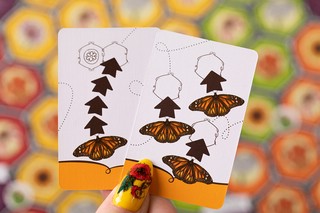 Настольная игра 'Марипосас' 9