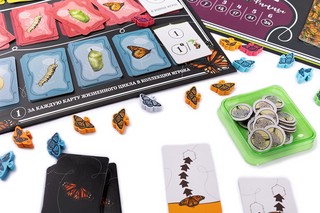 Настольная игра 'Марипосас' 12