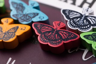 Настольная игра 'Марипосас' 4