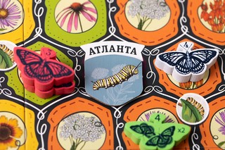 Настольная игра 'Марипосас' 5