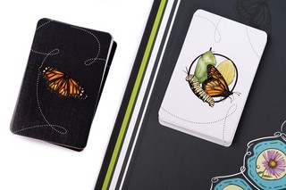 Настольная игра 'Марипосас' 8