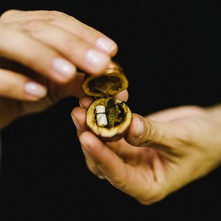 Орешек с предсказанием, 1 шт 2