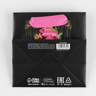 Пакет ламинированный квадратный «Вандал», 14 x 14 x 9 см 4