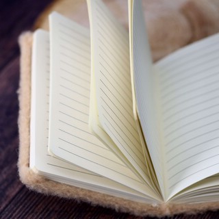 Блокнот плюшевый 'Мишка' 4