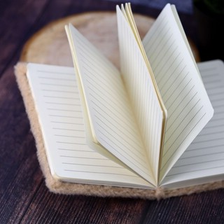 Блокнот плюшевый 'Penguin' (пингвин) в ассортименте 10